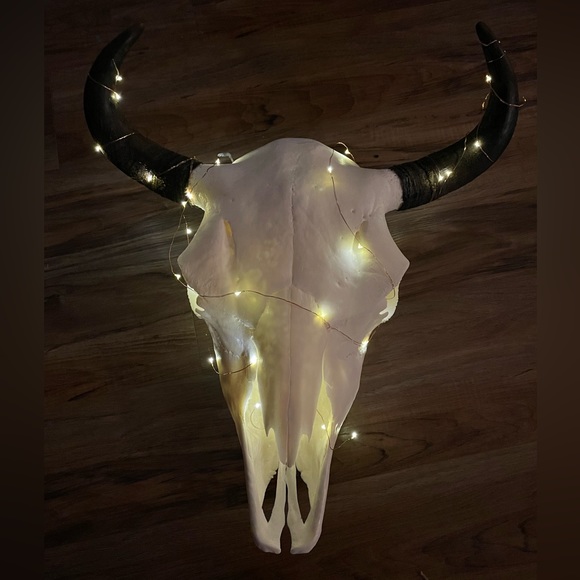 โจ๐ Buffalo skull euro mount - Picture 8 of 8